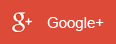 Google+